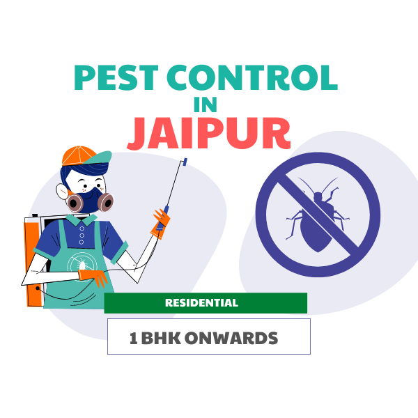 best pest control near me